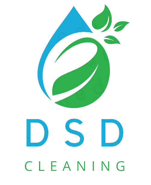 DSD Cleaning KG